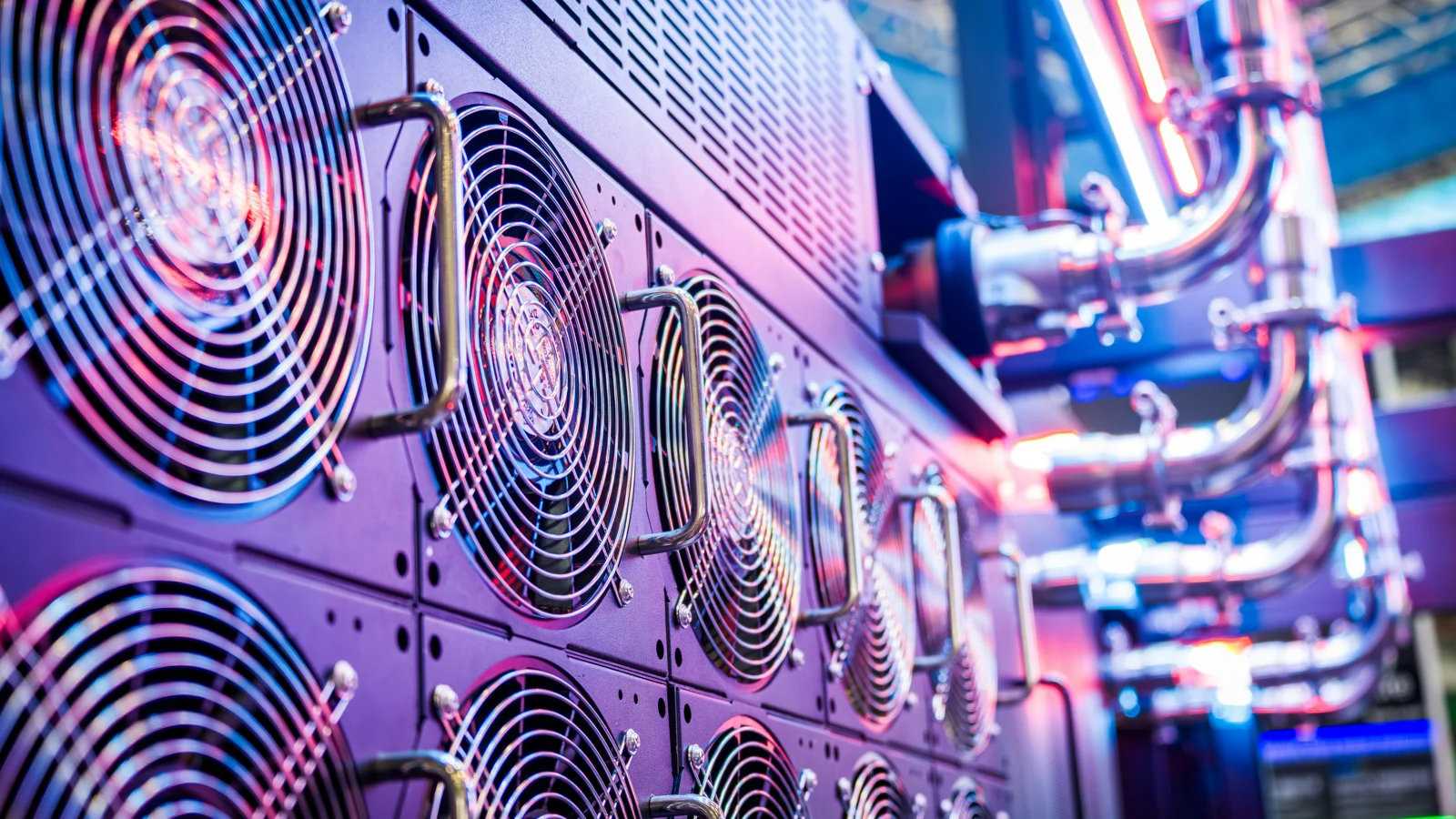 Data centre servers covered by the NIS2 representative obligation